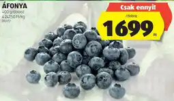 ALDI Áfonya ajánlat