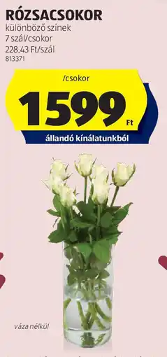 ALDI Rózsacsokor ajánlat