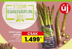 Spar SPAR Cebei spárga ajánlat