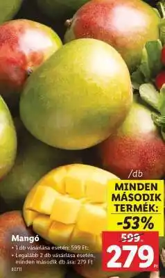 Lidl Mangó ajánlat