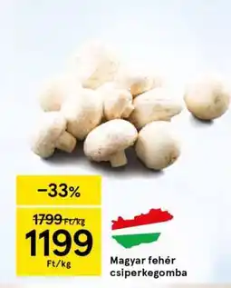 Tesco Magyar fehér csiperkegomba ajánlat