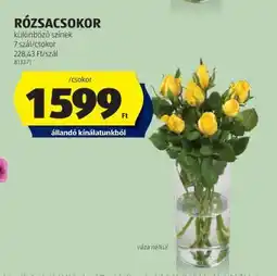 ALDI RÓZSACSOKOR ajánlat