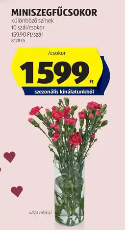 ALDI Miniszegfűcsokor ajánlat