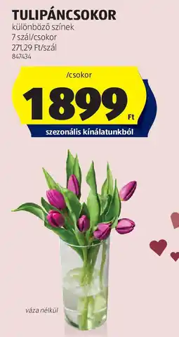 ALDI Tulipáncsokor ajánlat