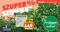 ALDI Fűszernövény ajánlat