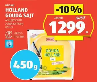 ALDI MILSANI HOLLAND GOUDA SAJT ajánlat