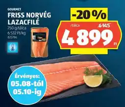 ALDI GOURMET FRISS NORVÉG LAZACFILÉ ajánlat