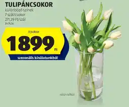 ALDI Tulipáncsokor ajánlat