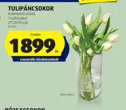 ALDI Tulipáncsokor ajánlat