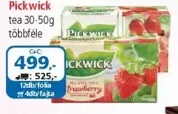 ÁRKLUB Pickwick tea ajánlat