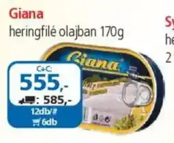 ÁRKLUB Giana heringfilé olajban ajánlat
