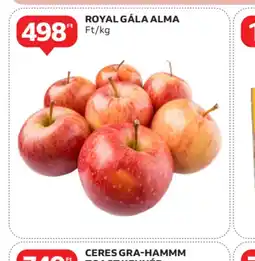 Auchan Royal Gala Alma ajánlat