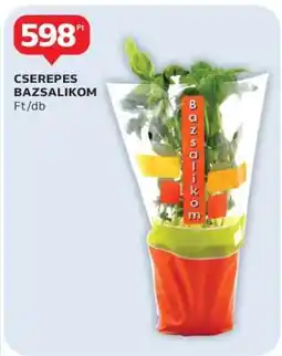 Auchan CSEREPES BAZSALIKOM ajánlat
