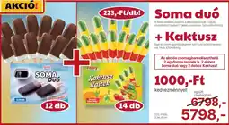 Family Frost Soma duó + Kaktusz ajánlat