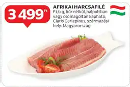 Auchan Afrikai Harcsafilé ajánlat