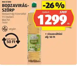 ALDI Rio D'oro bodzavirág-szörp ajánlat