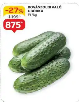 Auchan Kovászolni való uborka ajánlat