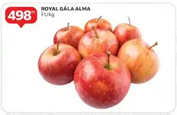 Auchan Royal Gala Alma ajánlat