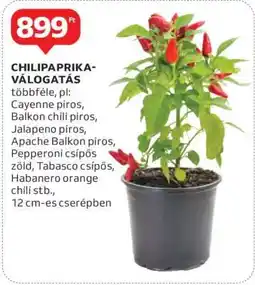 Auchan CHILIPAPRIKA-VÁLOGATÁS ajánlat