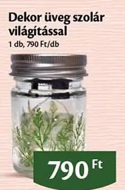 EcoFamily Dekor üveg szolár világítással ajánlat