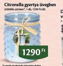 EcoFamily Citronella gyertya üvegben ajánlat