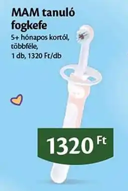 EcoFamily Mam tanuló fogkefe ajánlat