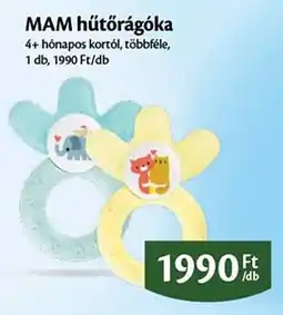 EcoFamily Mam hűtőrágóka ajánlat