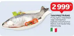 Auchan Tavi pisztráng ajánlat