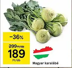 Tesco Magyar karalábé ajánlat