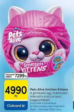 Tesco Pets Alive Smitten Kittens ajánlat