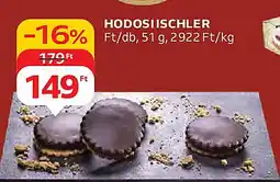 Auchan Hodosiischler ajánlat