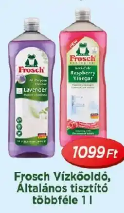 Real Frosch Vízkőoldó, Általános tisztító ajánlat