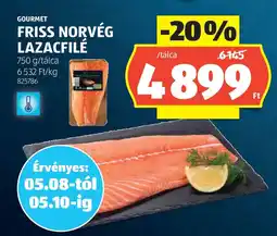 ALDI Gourmet Friss Norvég lazacfilé ajánlat