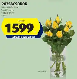 ALDI Rózsacsokor ajánlat
