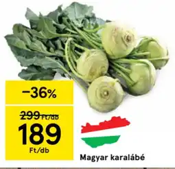 Tesco Magyar karalábé ajánlat