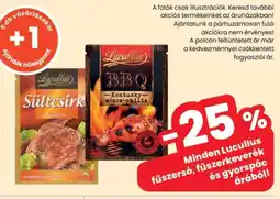 Spar Minden Lucullus fűszersó, fűszerkeverék és gyorspác árából! ajánlat