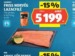 ALDI Friss Norvég Lazacfilé ajánlat