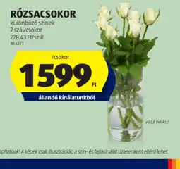 ALDI Rzsacsokor ajánlat
