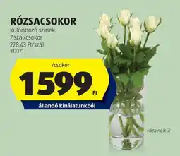 ALDI RÓZSACSOKOR ajánlat