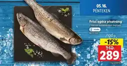 Lidl Friss egész pisztráng ajánlat