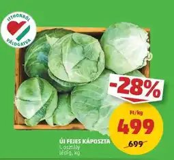 PENNY Új fejes káposzta ajánlat
