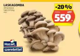 ALDI Laskagomba ajánlat