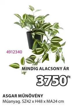 JYSK Asgar műnövény ajánlat