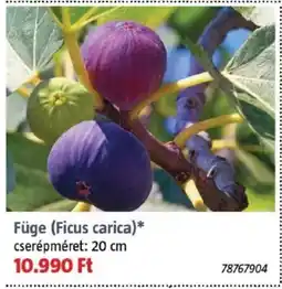 Bauhaus Füge ajánlat