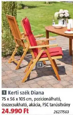 Bauhaus Kerti szék Diana ajánlat