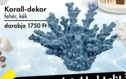 Tedi Korall-dekor ajánlat