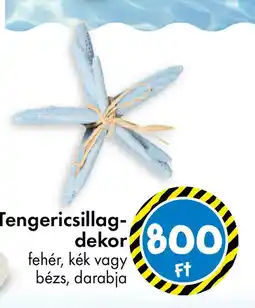 Tedi Tengericsillag- dekor ajánlat
