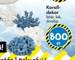 Tedi Korall- dekor ajánlat