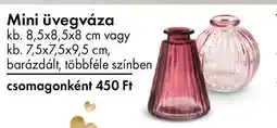 Tedi Mini üvegváza ajánlat