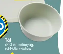 Tedi Tál ajánlat